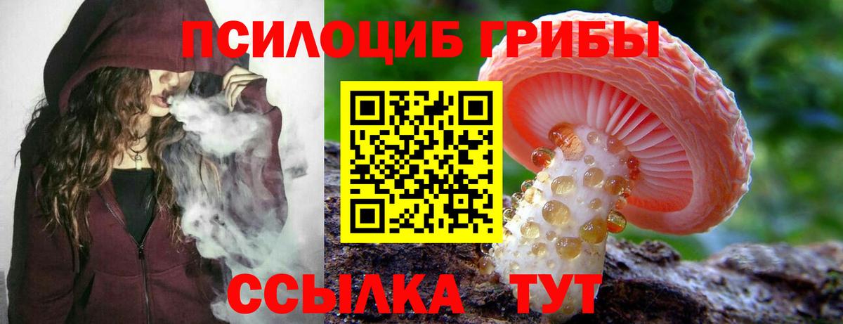 Псилоцибиновые грибы мицелий  Вход с VPN  Нижнеудинск 